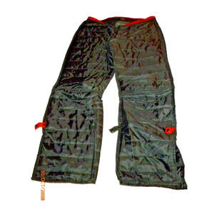 Alpinestars Black and Red Motorcycle Pants